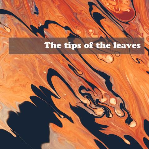 The tips of the leaves