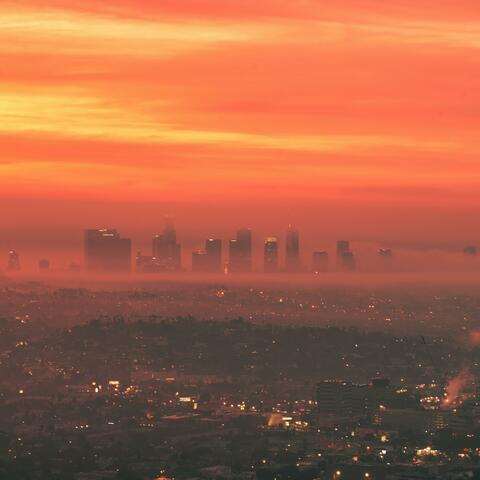 LA 2024