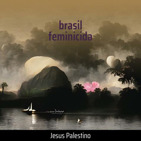 brasil feminicida