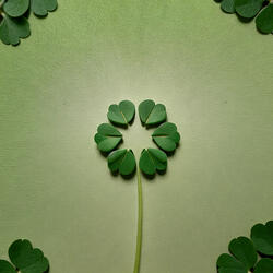 Memories of first love