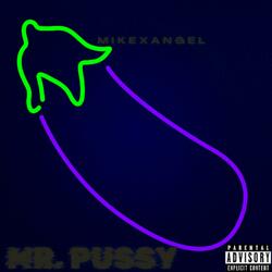 Mr.Pussy