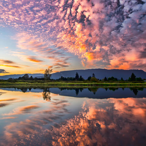 Salmo 4 - Sobre nós fazei brilhar o esplendor de vossa face