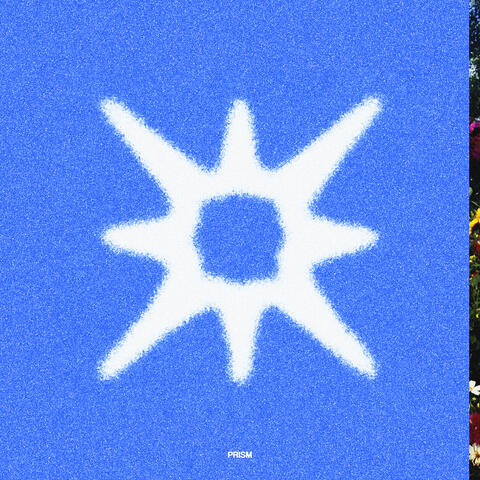 Prism