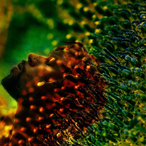 Asé (08’ Interlude)