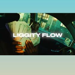 Liggity Flow