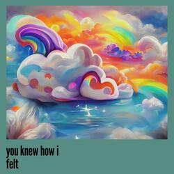 you knew how i felt
