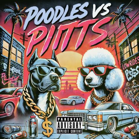 Poodles vs Pitts