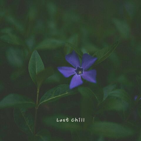 Lost Chill