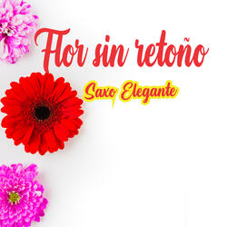 Flor Sin Retoño