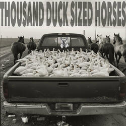 Thousand Duck Sized Horses