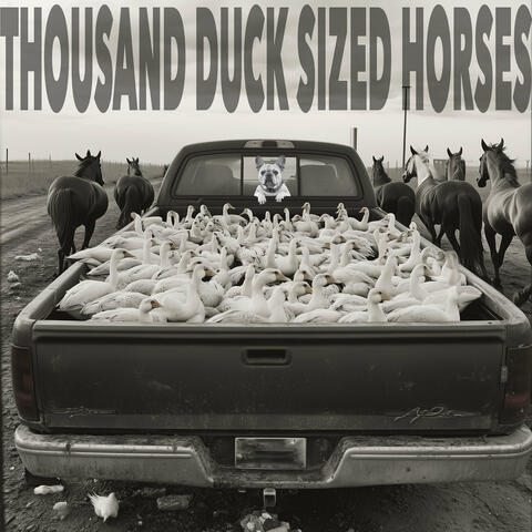 Thousand Duck Sized Horses