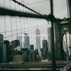 brooklyn bassline blitz (feat. Jim Jones)