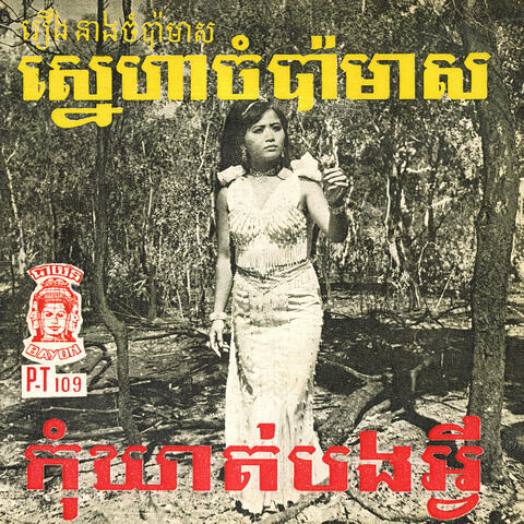 ស្នេហាចំប៉ាមាស & កុំឃាត់បងអ្វី