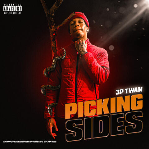 Picking Sides