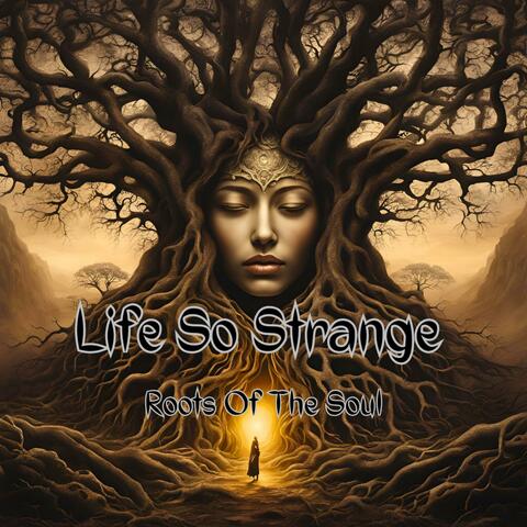 Roots Of The Soul