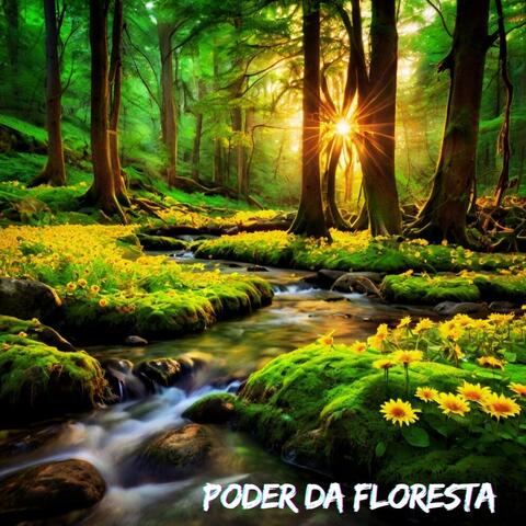 Poder da Floresta