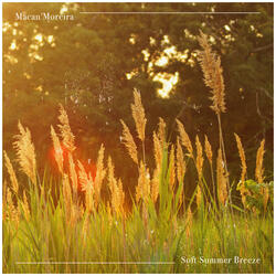 Soft Summer Breeze