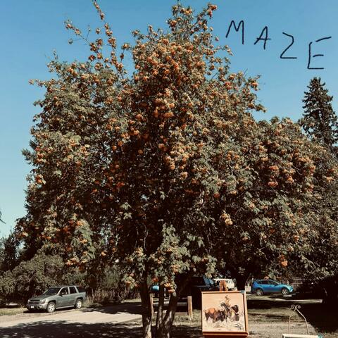 MAZE