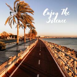 Enjoy The Silence