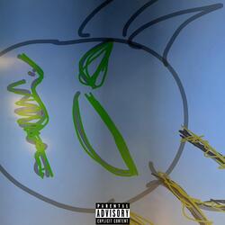 2024 Vision (WaveMix)