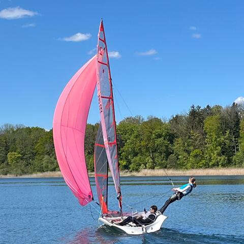 Regatta Warriors