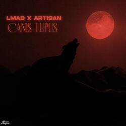 Canis Lupus