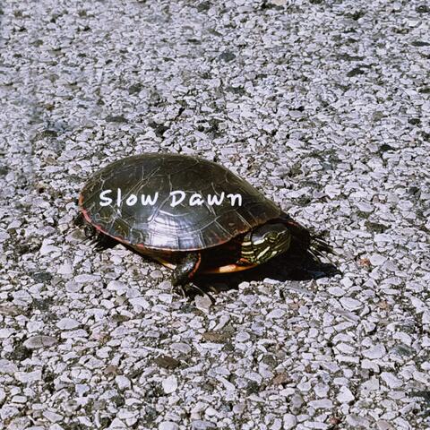 Slow Dawn