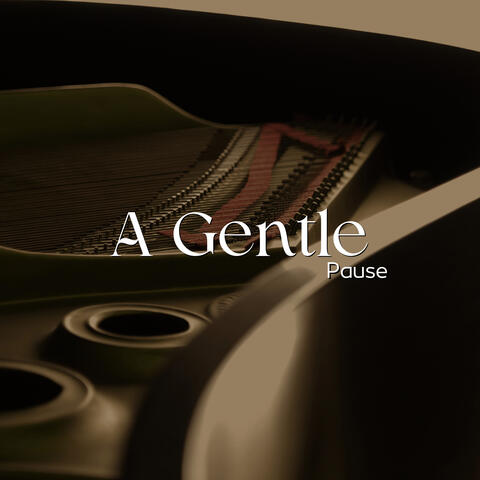 A Gentle Pause