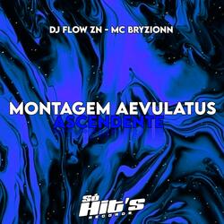 Montagem Aevulatus Ascendente