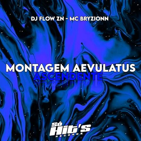 Montagem Aevulatus Ascendente