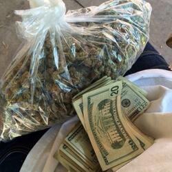 Money Hunt