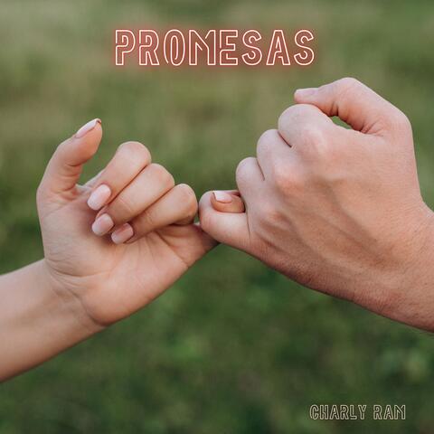 PROMESAS