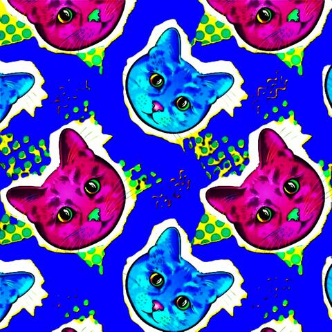 Cat destroy