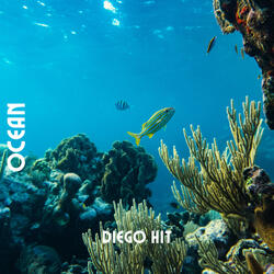 OCEAN
