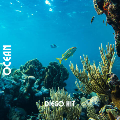 OCEAN