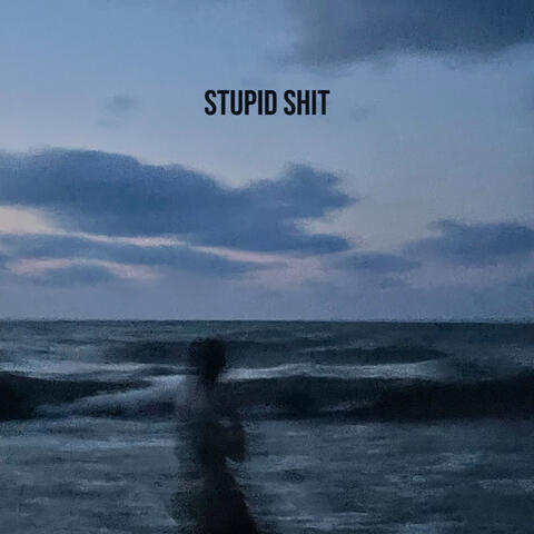 STUPID SHIT