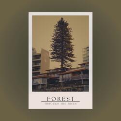 Forest Through the Trees