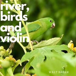 river, birds and violin