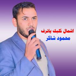 Shamal Kalbik 'Aw Taraf