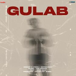 Gulab