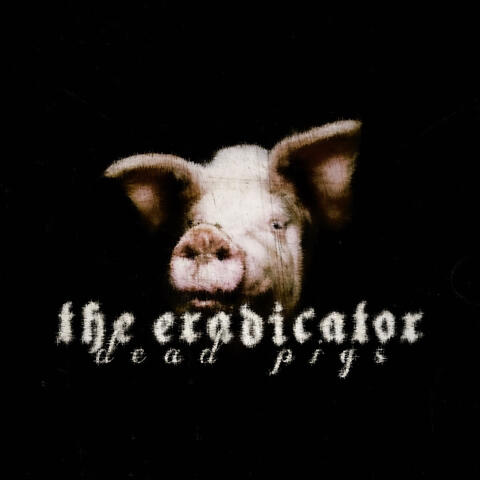 Dead Pigs