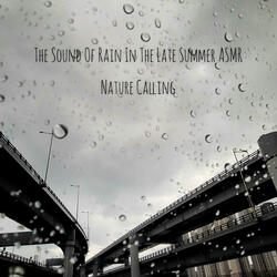 Rain Sound For Comfy Sleep