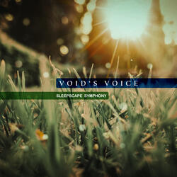 Voidsvoice