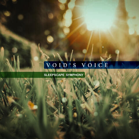 Voidsvoice