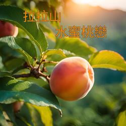 拉拉山水蜜桃戀