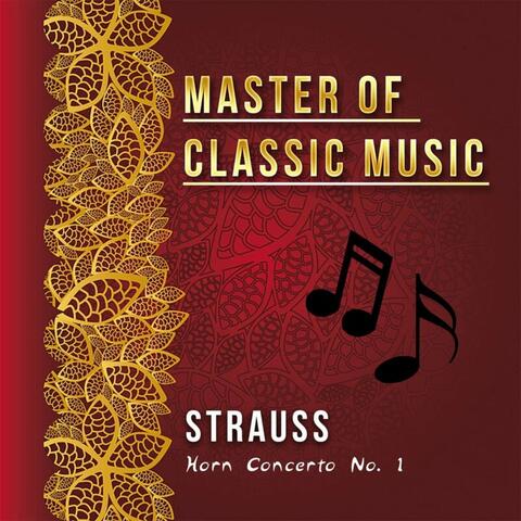 Master of Classic Music, Strauss