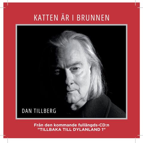 Dan Tillberg - Katten är i brunnen