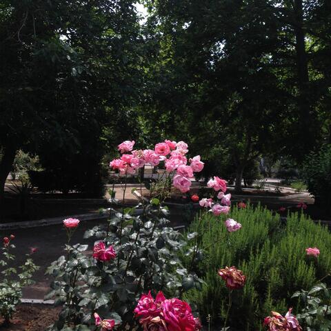 искал.мишень