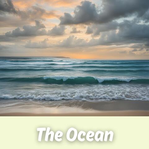The Ocean