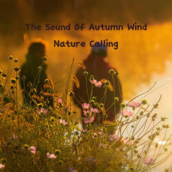 The Sound Of Autumn Wind